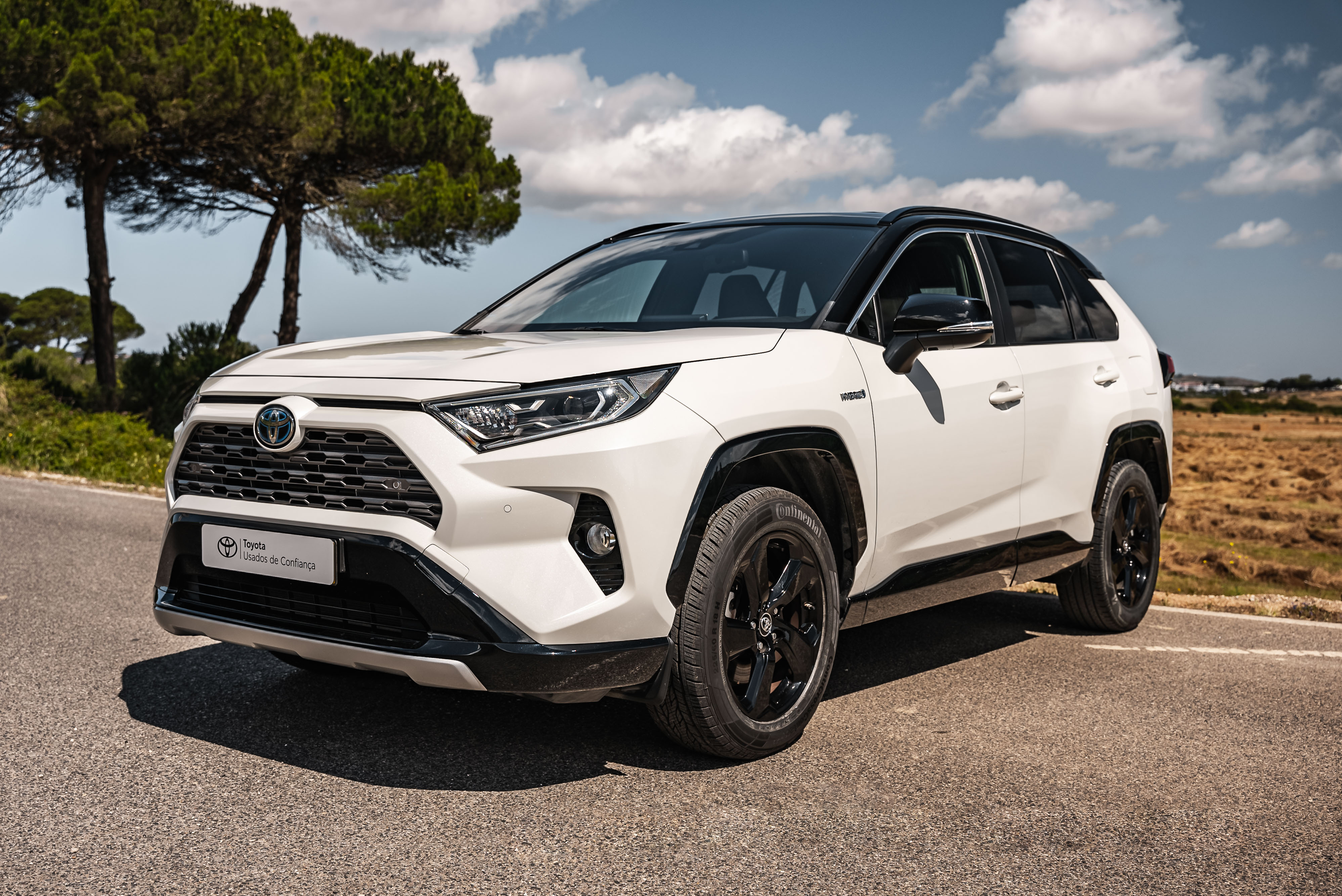 TOYOTA RAV4 RAV4 2.5 Hybrid Dynamic Force SQUARE Collection