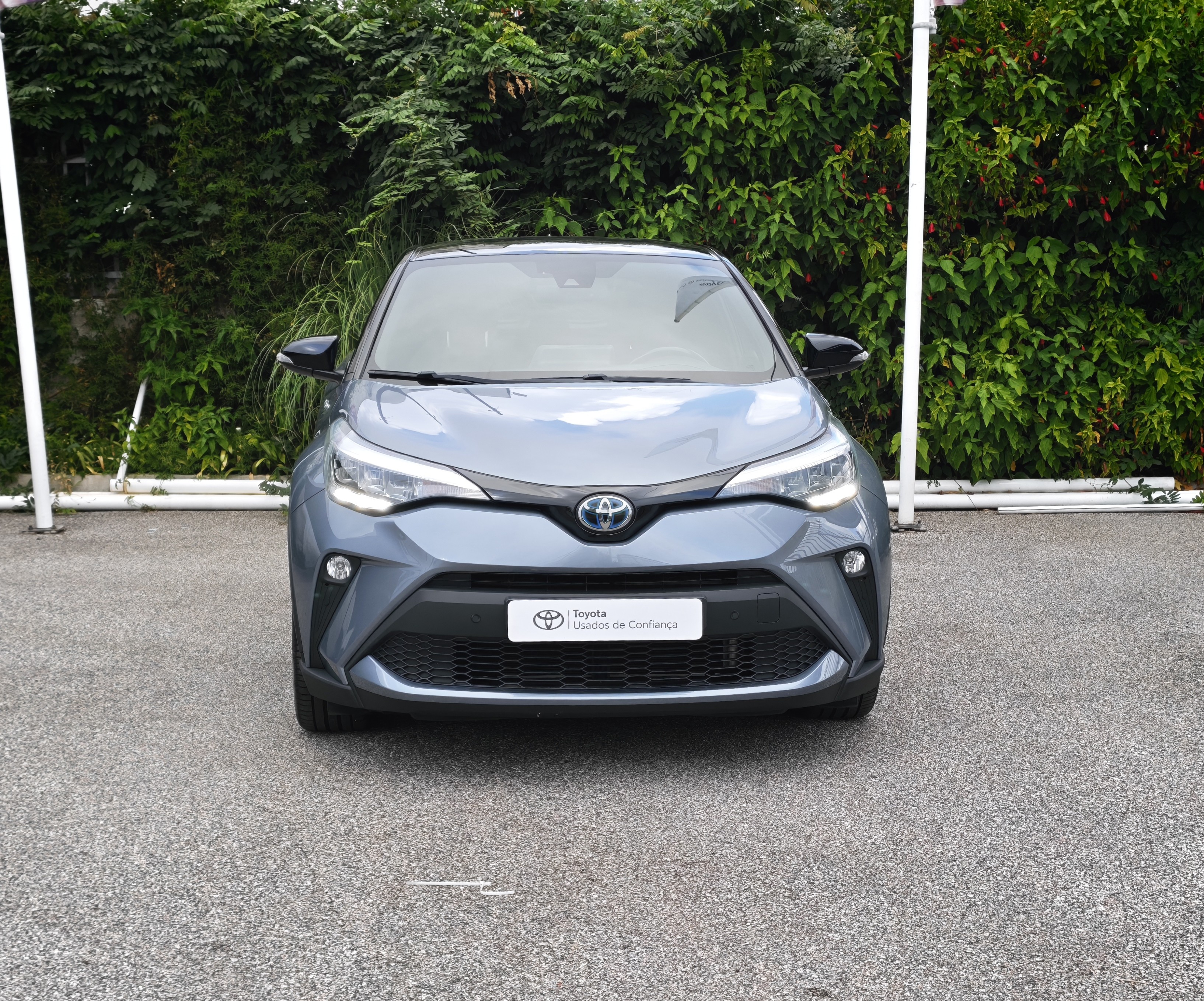 TOYOTA TOYOTA C-HR C-HR 2.0 Hybrid Dynamic Force SQUARE Collection