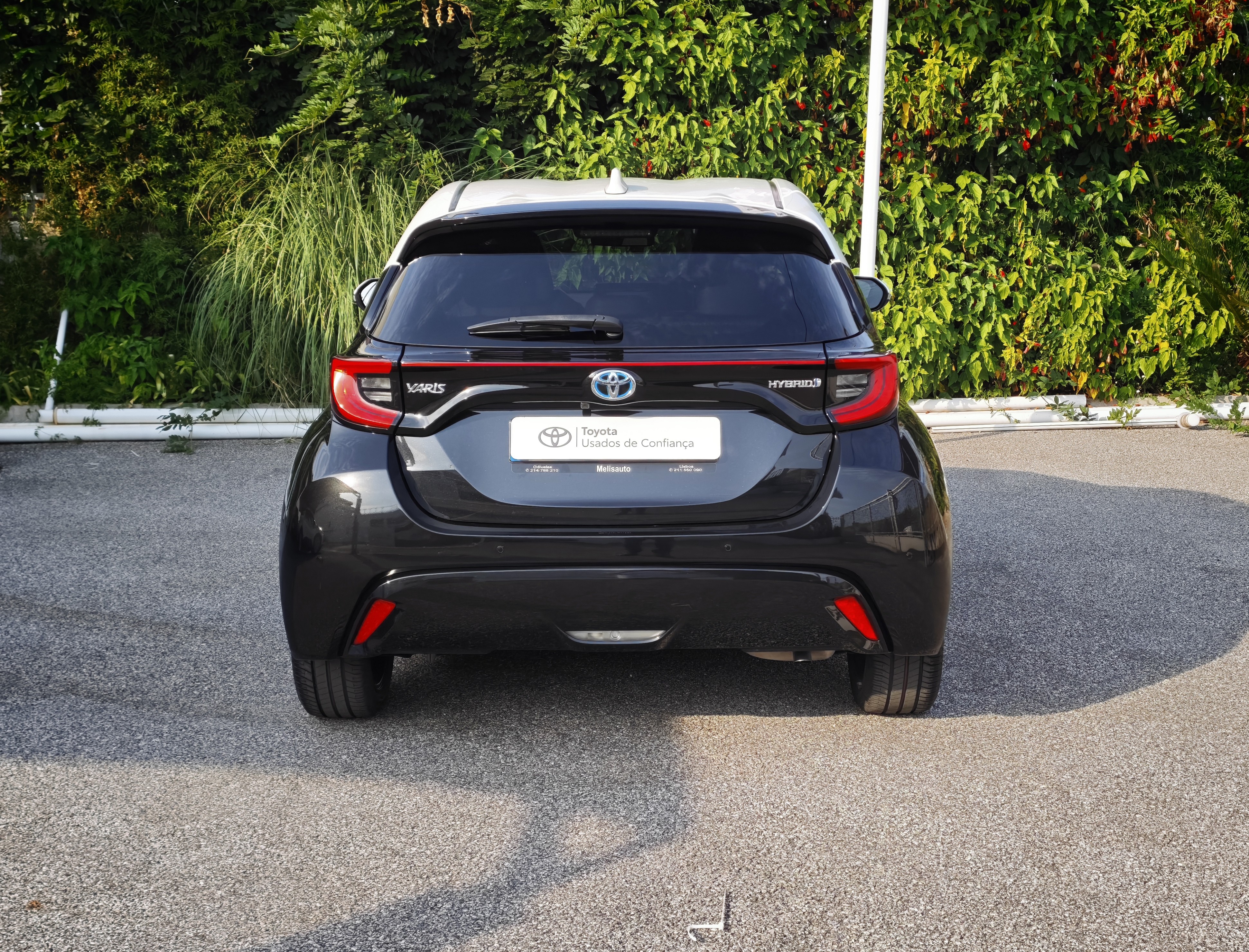 TOYOTA YARIS NG Yaris 1.5 Hybrid Dynamic Force SQUARE Collection