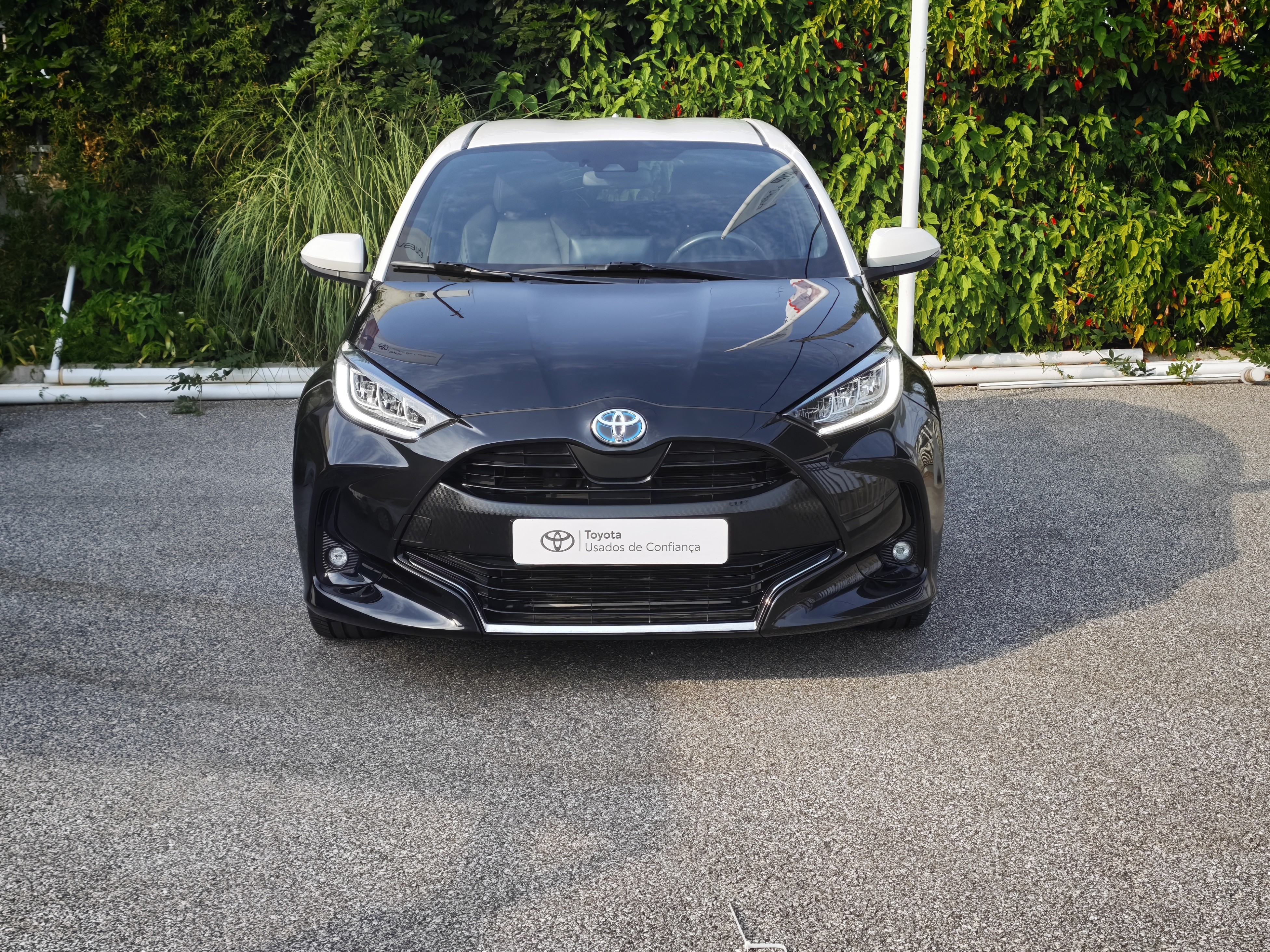 TOYOTA YARIS NG Yaris 1.5 Hybrid Dynamic Force SQUARE Collection