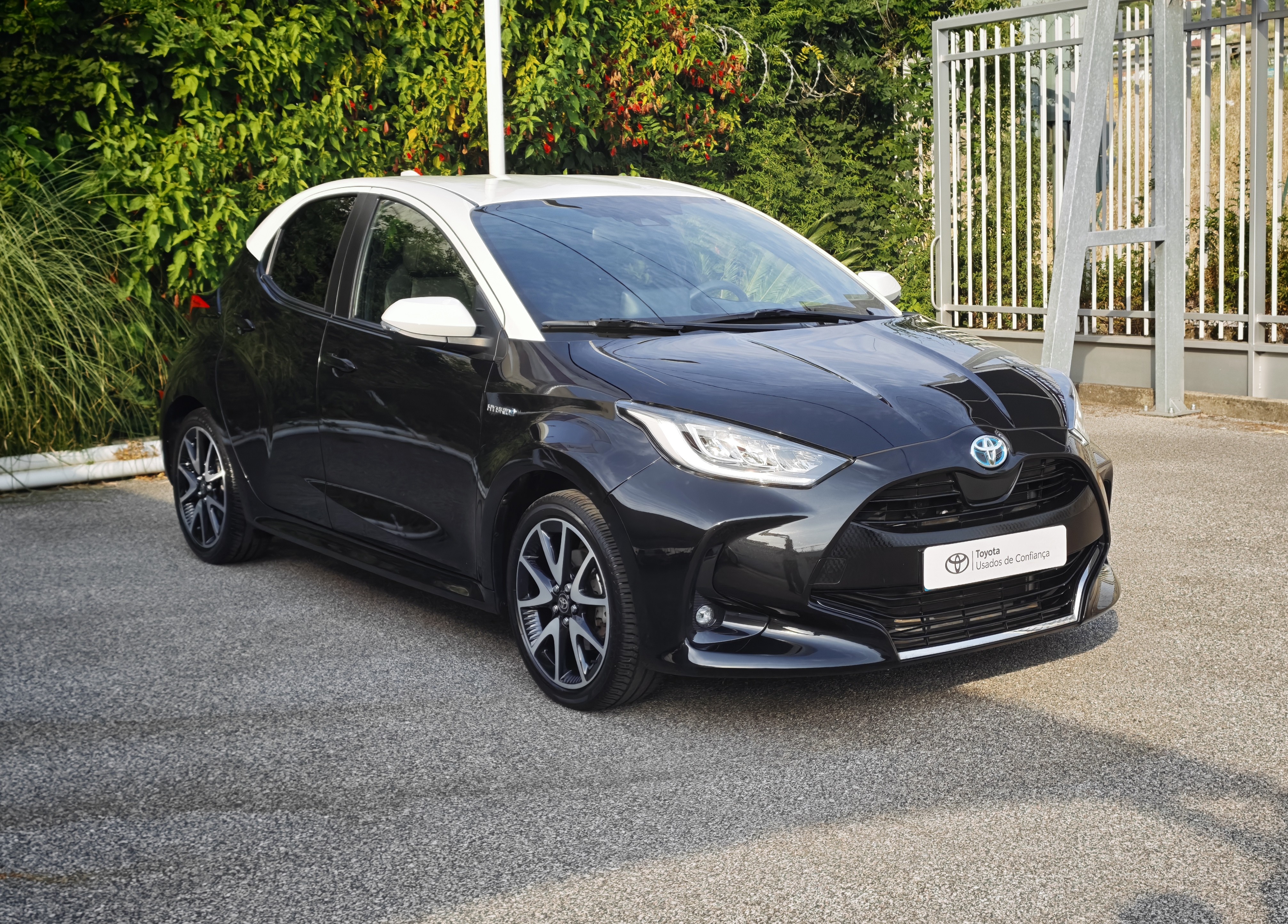 TOYOTA YARIS NG Yaris 1.5 Hybrid Dynamic Force SQUARE Collection