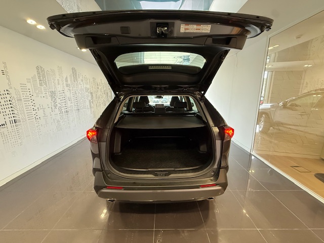 TOYOTA RAV4 RAV4 2.5 Hybrid Dynamic Force Comfort